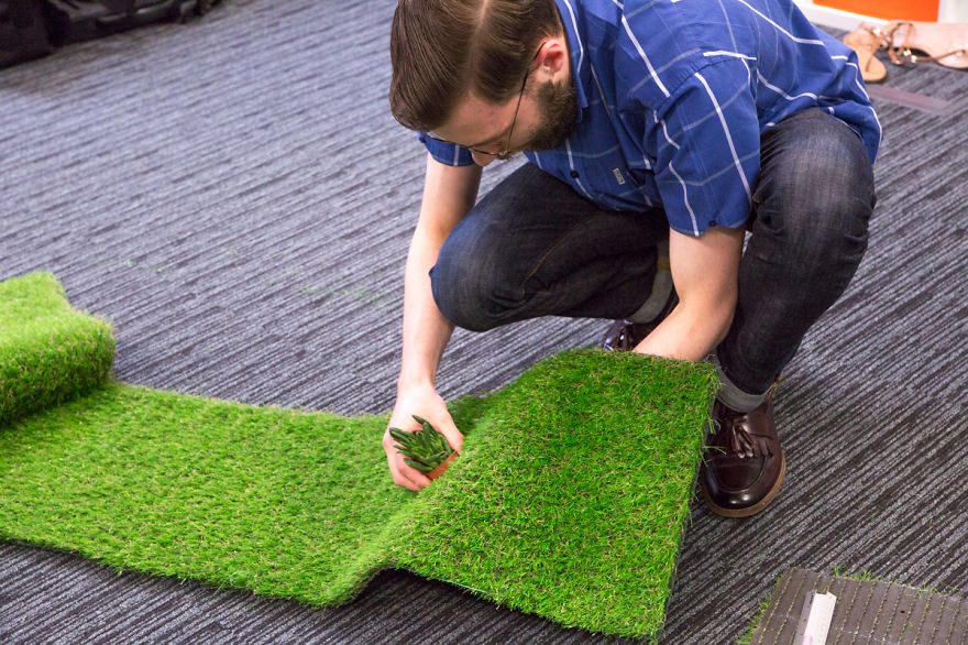 Creative Team Brought The Outdoors Into The Office With Their Own Desktop Garden