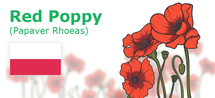 Digitally Hand-drawn European National Flowers Show You The Countries' Connection With Nature