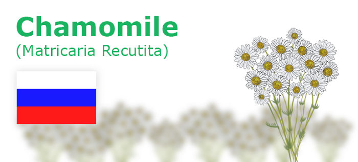 Digitally Hand-drawn European National Flowers Show You The Countries' Connection With Nature