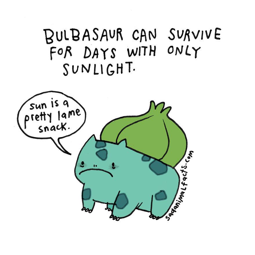 But There's No Need For Bulbasaur To Eat Anything