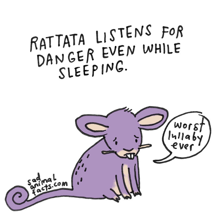 Rattata Sleeps With One Ear Open