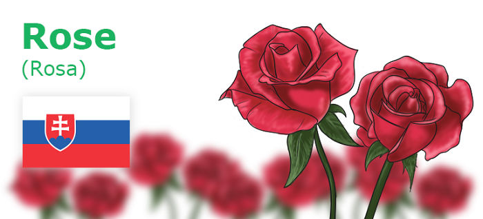 Digitally Hand-drawn European National Flowers Show You The Countries' Connection With Nature