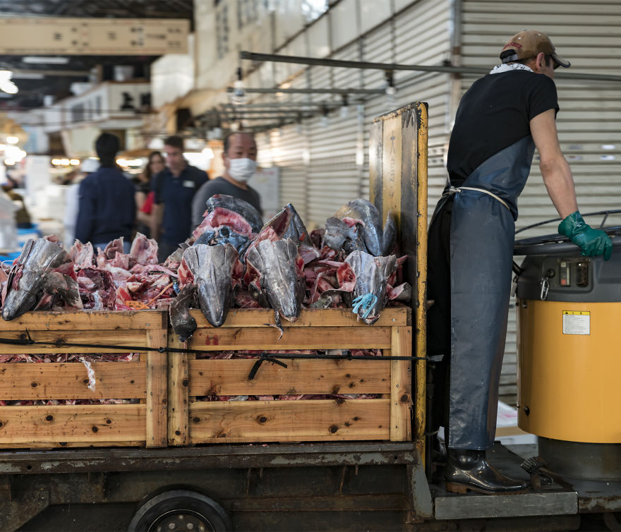 Tsukiji Market Before It Moves Tsukiji Market Before It Moves