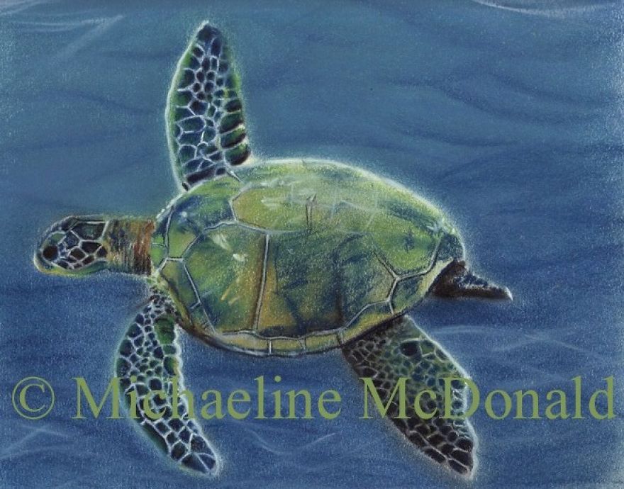 Under The Sea Paintings By Michaeline Mcdonald