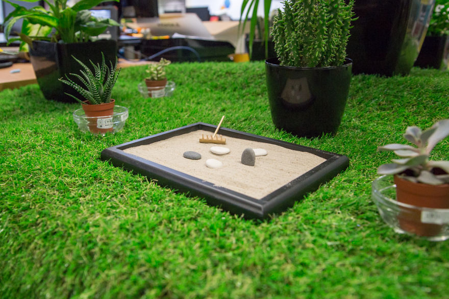 Creative Team Brought The Outdoors Into The Office With Their Own Desktop Garden