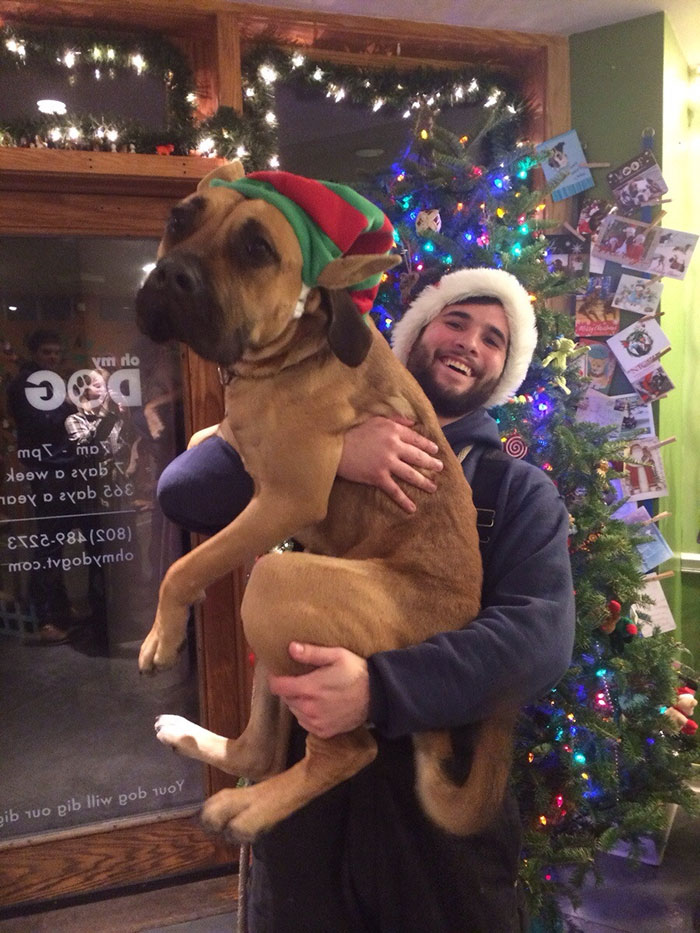 Dog Waits 8 Months To Find A Home, Gets Adopted By Caretaker On Christmas