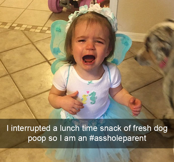 I Interrupted A Lunch Time Snack Of Fresh Dog Poop So I Am An #assholeparent