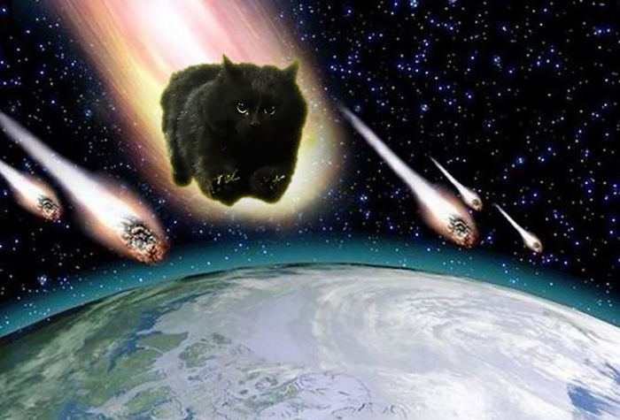 Asteroid Kitty