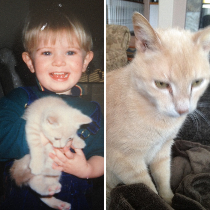 First Day, Last Week. Lost My Companion Of 18 Years