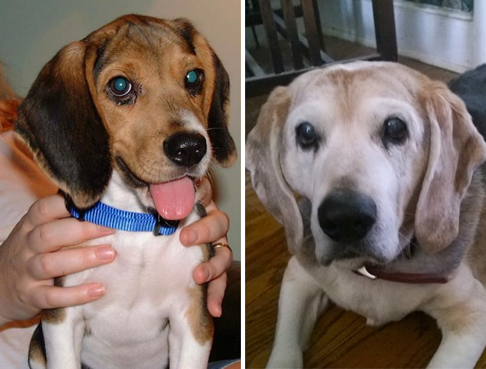 First (2000) And Last (2014) Pics Of Bert