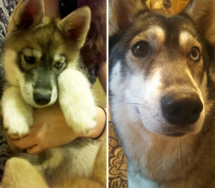 First And Last Pics Of My Furkid