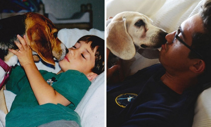 74 Heartbreaking First & Last Pics Of Pets That’ll Make You Want To Hug Your Pet And Never Let Go