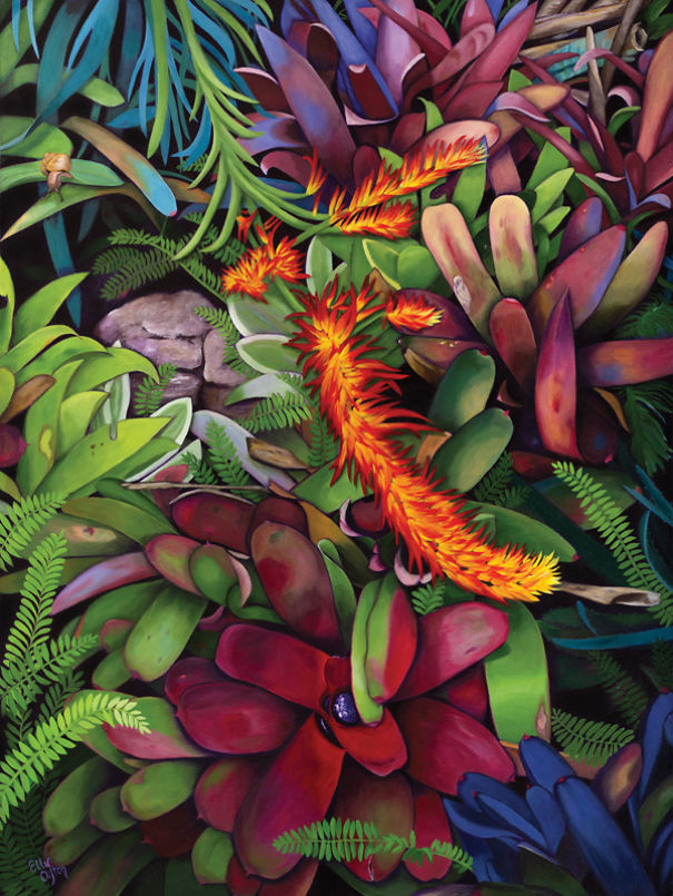 I Paint Colorful Bromeliads