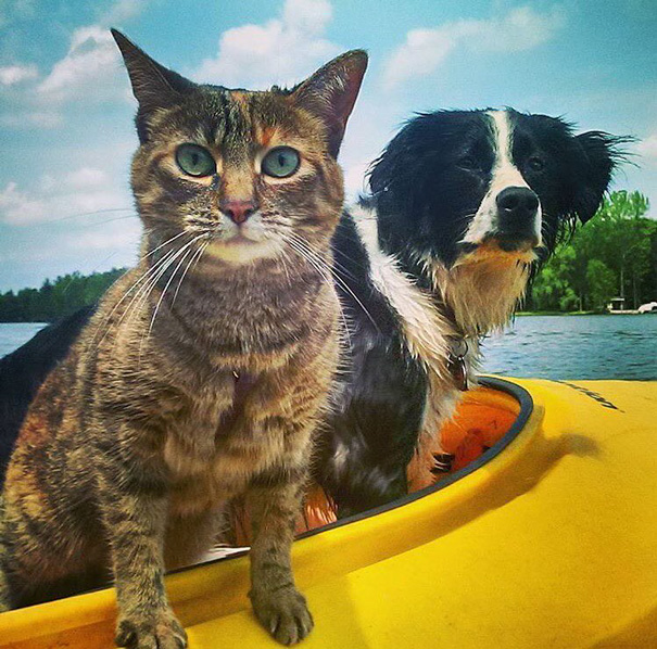 Besties On Kayak Patrol