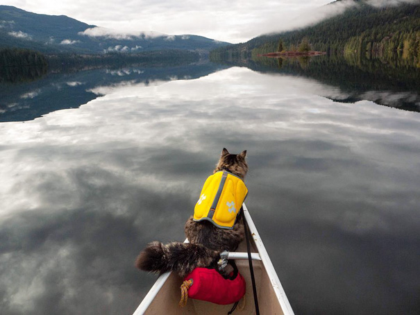 Keep Rowing, Human. We Must Reach The Shore By Dusk