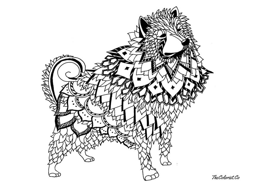 Line Drawings Of Dogs