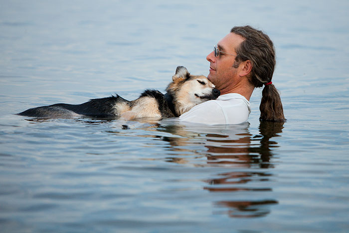 Every Evening, This Man Takes His Sick Dog To A Lake Because The Water Helps His Pain Subside
