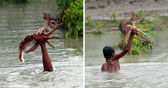 51 Images That’ll Restore Your Faith In Humanity