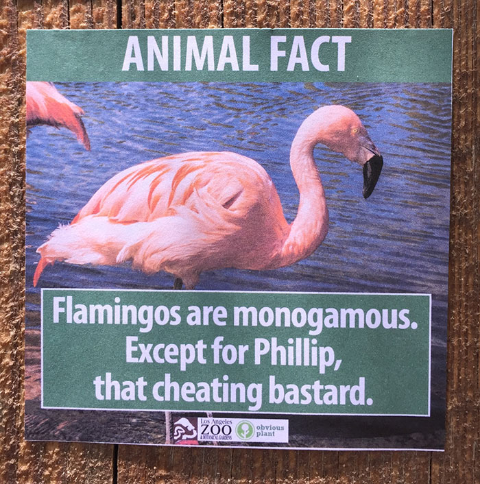 Guy Leaves Fake Animal Facts All Over Los Angeles Zoo