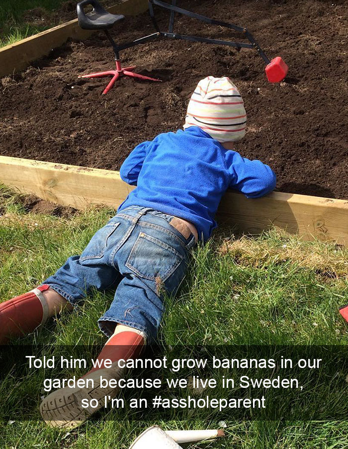 Told Him We Cannot Grow Bananas In Our Garden Because We Live In Sweden, So I'm An #assholeparent
