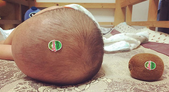 Two Kiwis
