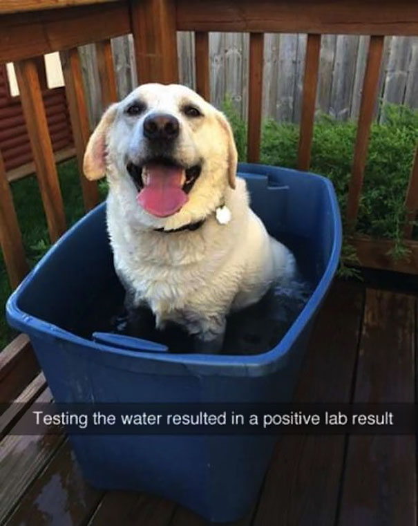 Positive Lab Result