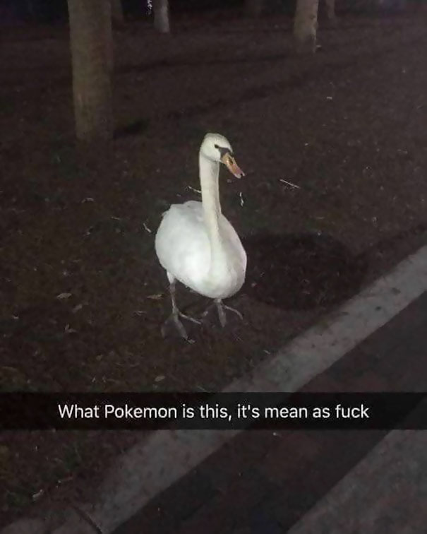 What Pokemon Is This?