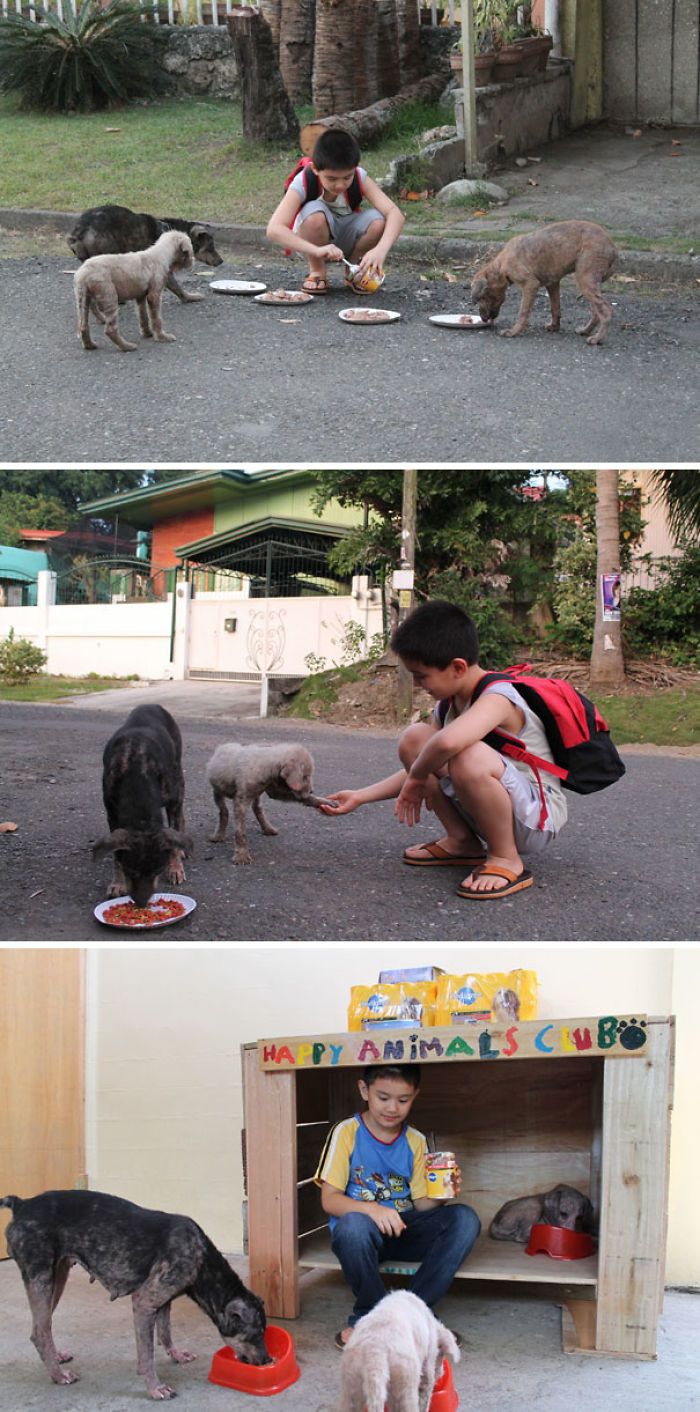 9-Year-Old Boy Created A No-[end] Animal Shelter In His Garage