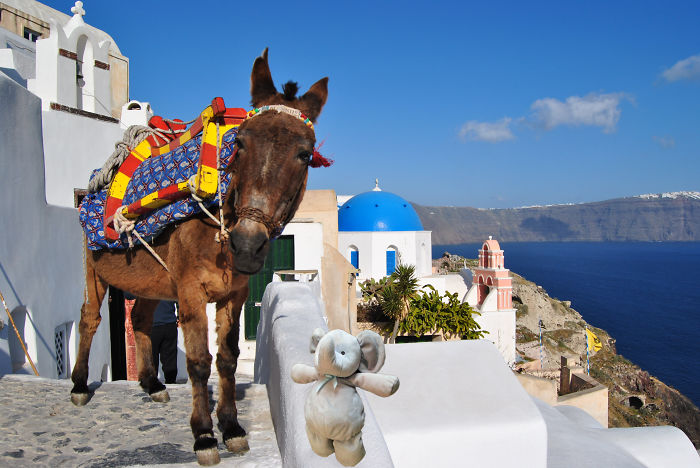 Riding A Donkey In Santorini, Greece