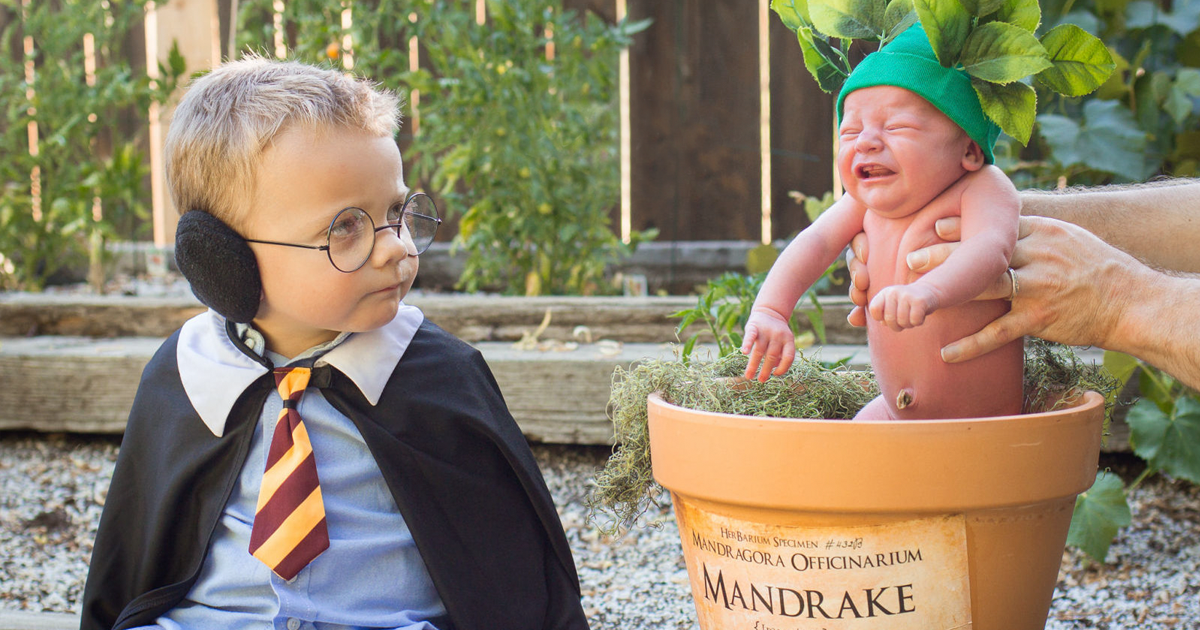 Harry Potter Themed Newborn Photo Shoot With A Screeching Mandrake Baby Goes Viral Bored Panda