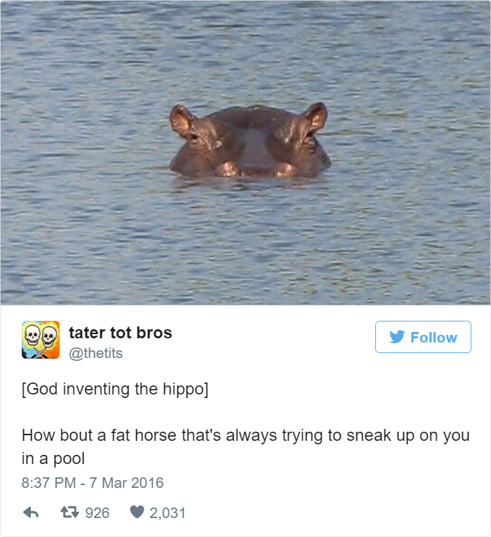How Hippos Were Created