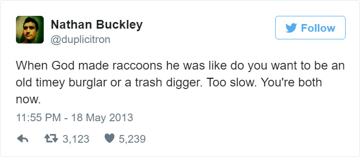 How Racoons Were Created