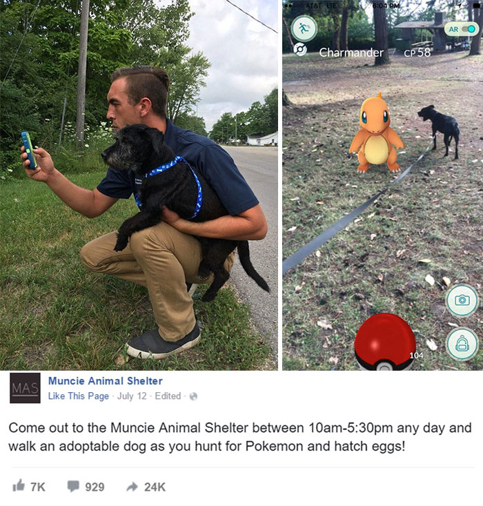 Animal Shelter Asked Pokémon Go Players To Walk Their Dogs