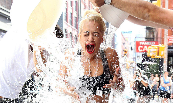 Remember The Ice Bucket Challenge? It Just Funded A Major Breakthough In ALS Research