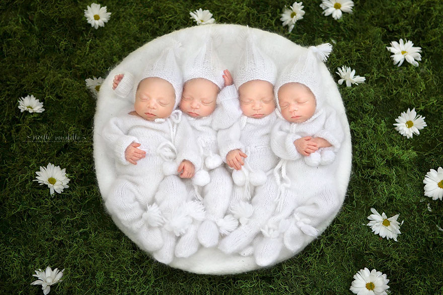 Extremely Rare Identical Quadruplet Girls Star In Photoshoot, Snooze Through Entire Session