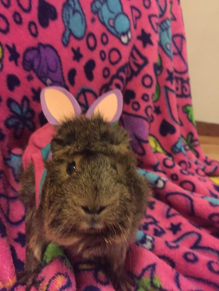 Getting Cute