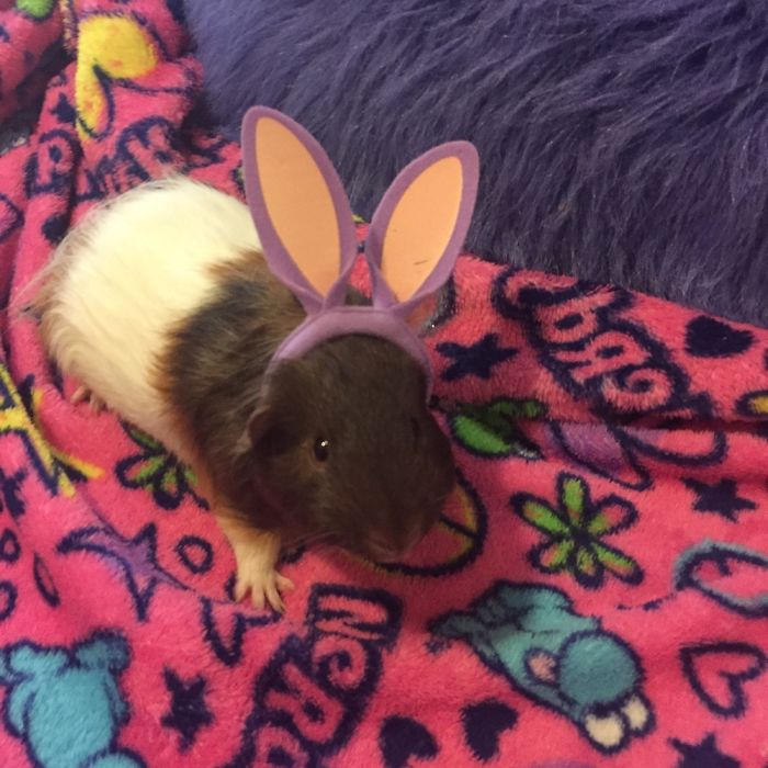 Getting Cute