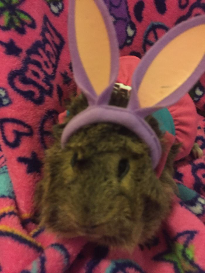 Getting Cute