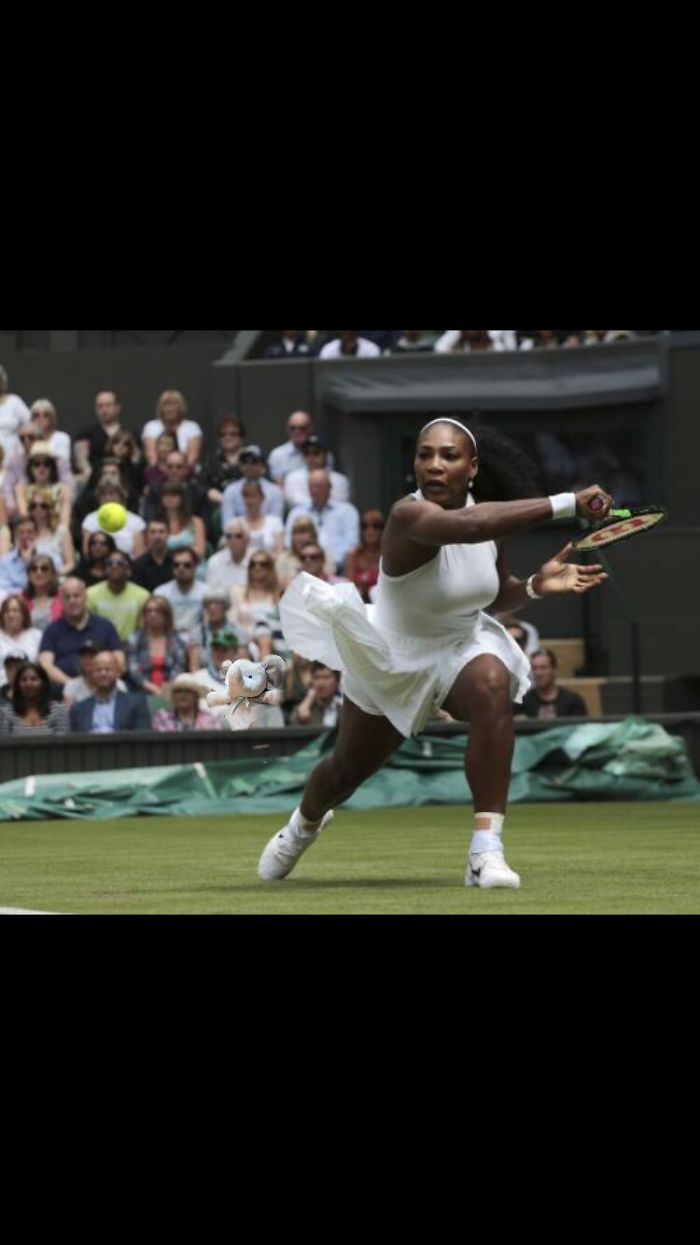 Cheering Serena At Wimbledon!! ????