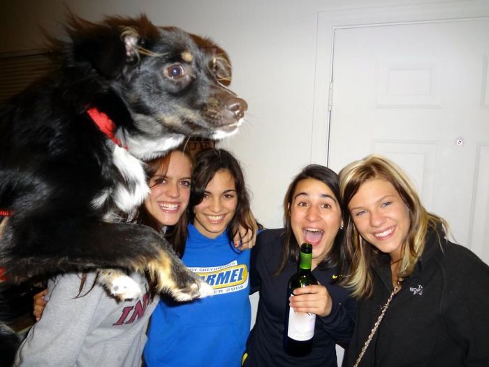 The Art Of Photobomb
