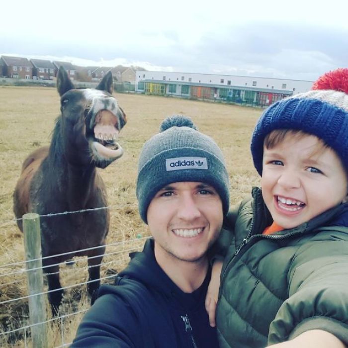 The Art Of Photobomb