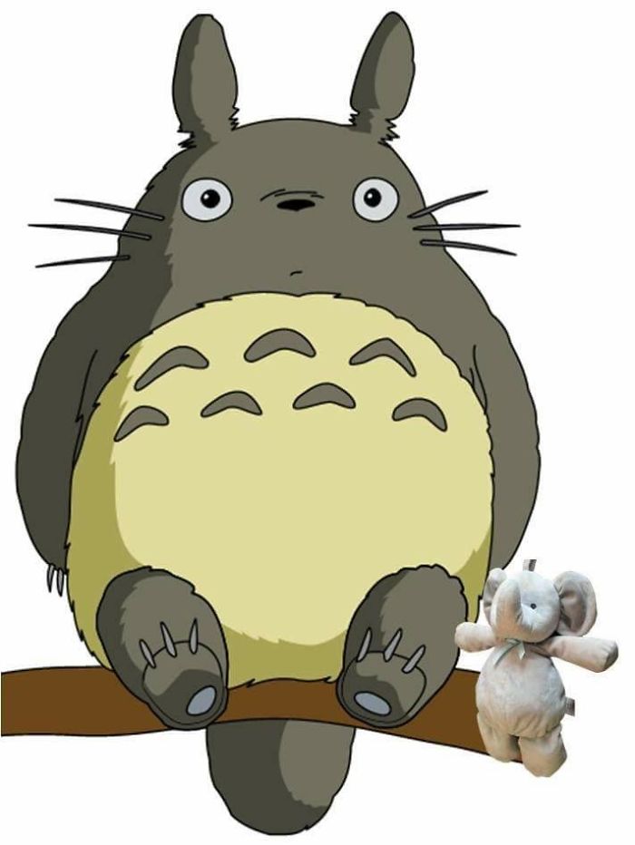 Interview With Totoro