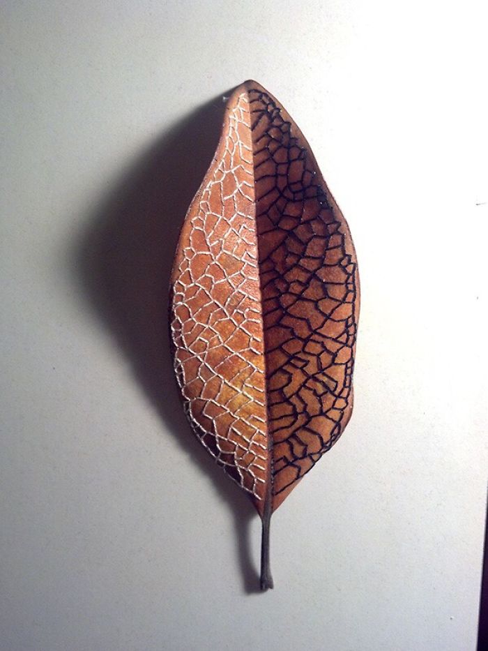 I Embroider Magnolia Leaves
