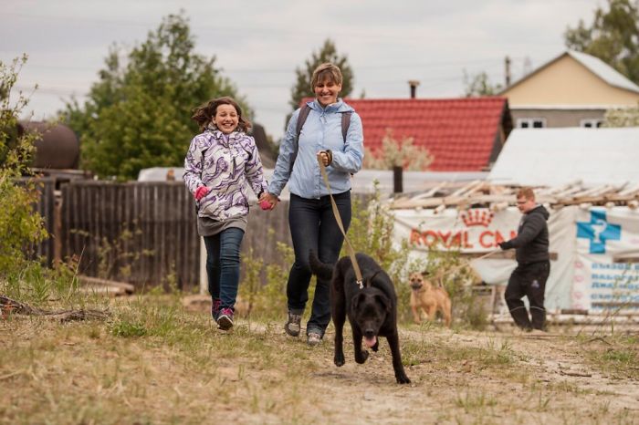 Volunteers In Surgut (siberia) Join Every Sunday In A Local Shelter To Walk Shelter Dogs