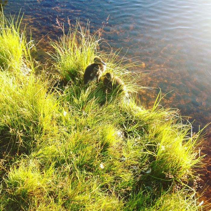 Beautiful Place In Norway