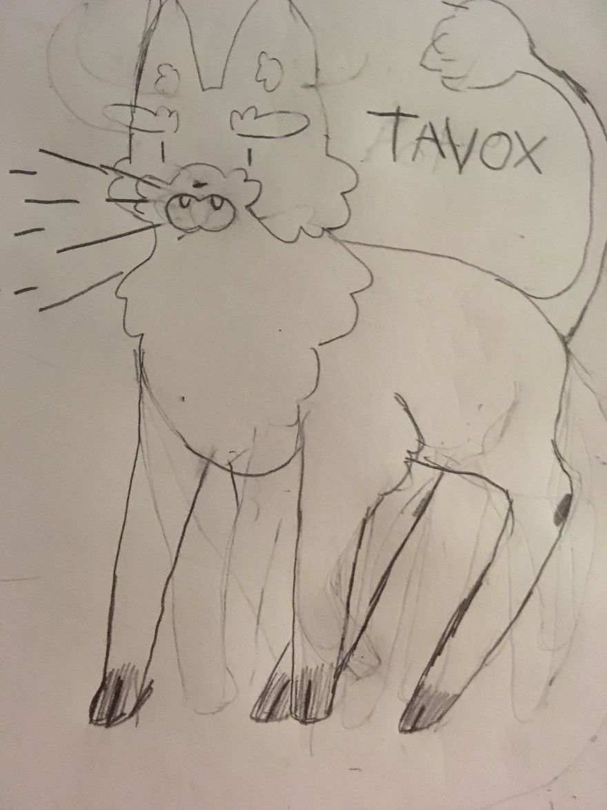 Tavox