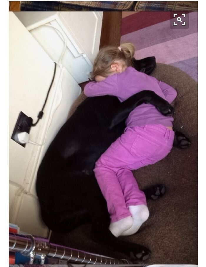 20+ Dogs And Their Adorable Baby Buddies