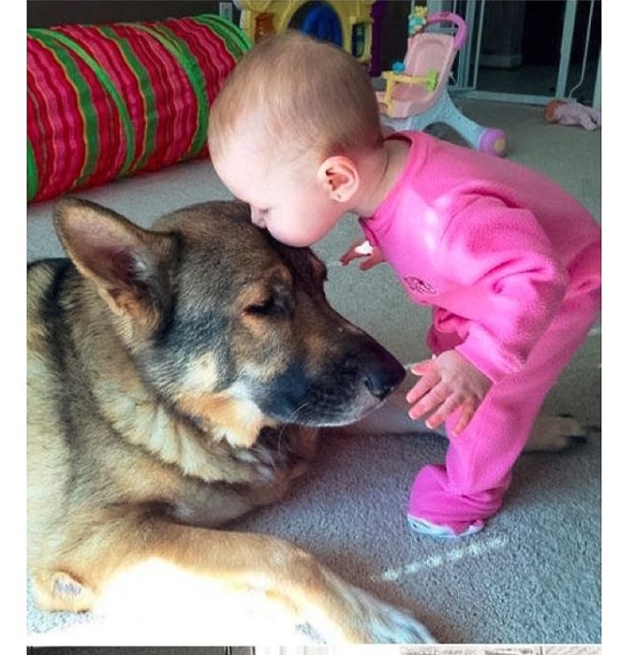 20+ Dogs And Their Adorable Baby Buddies