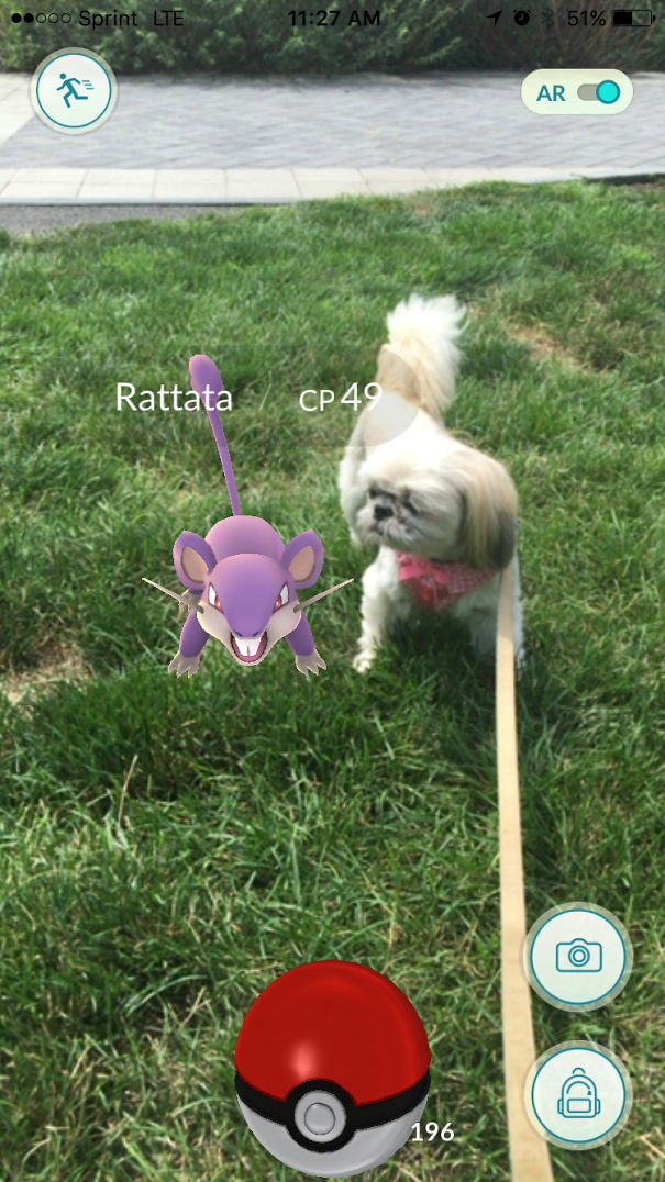 Not Sure Which One To Try And Catch. Rattata Or Melo?
