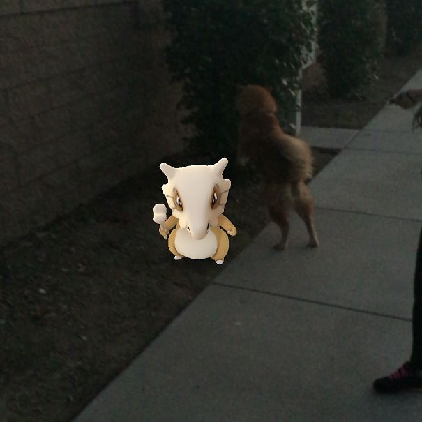 Trying To Help Me Catch Cubone!